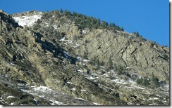 snowbird21