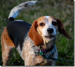 beanapril2009