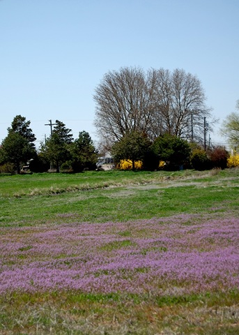 [idahotrip672.jpg]