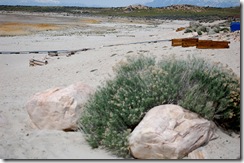 aisland12