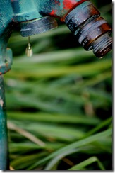 faucet5