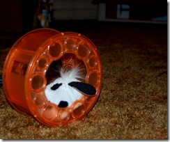 furreal8
