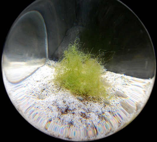 [aquarium62.jpg]