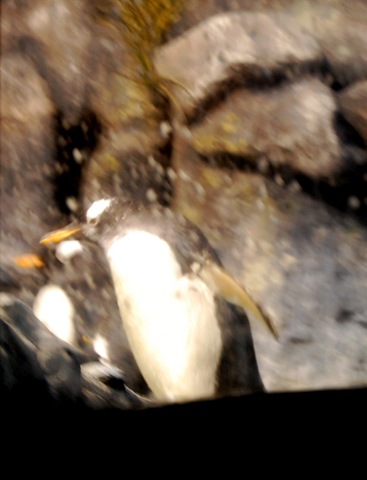 [aquarium312.jpg]