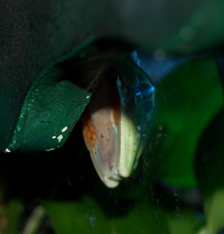 [aquarium342.jpg]