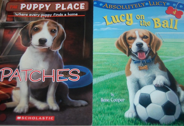 [beaglebook32.jpg]
