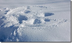 snowypark6