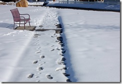 snowypark4