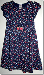 hollanddresses4