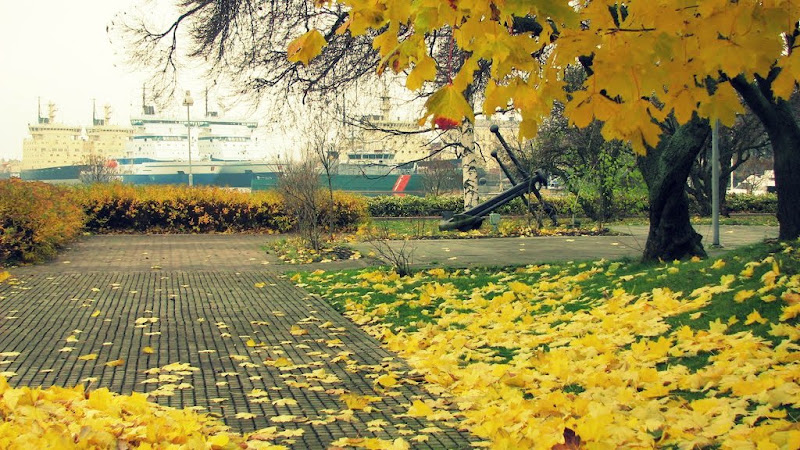 Городское воскресенье