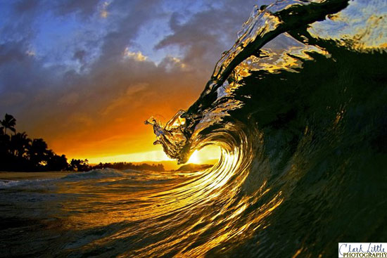 q-sunset-shark-wave.jpg