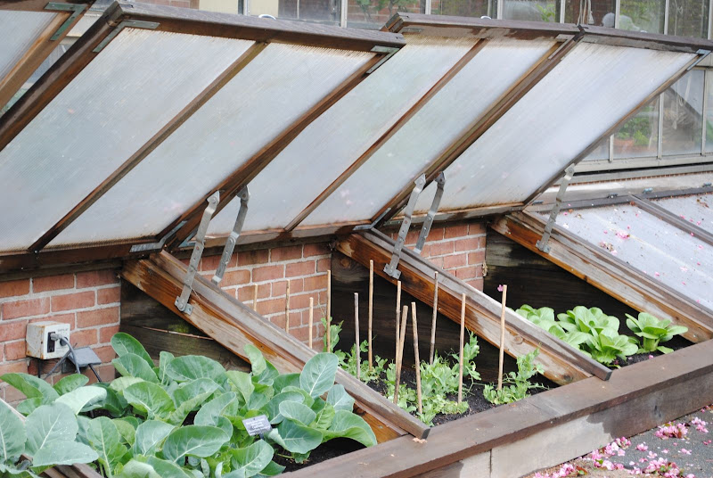 Food%20Pics%20Spring%20089