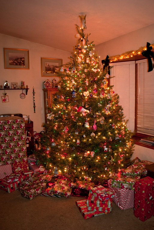 [DSC_0104[5].jpg]