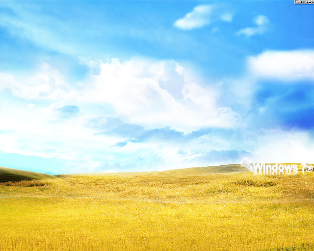 Windows 7 Wallpaper