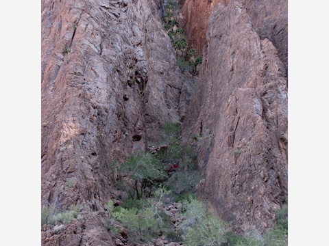 [Palm Canyon[13].jpg]