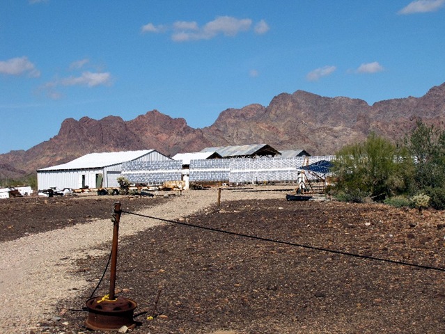 [Solar Panels[4].jpg]