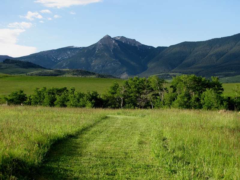 [Mown paths[2].jpg]