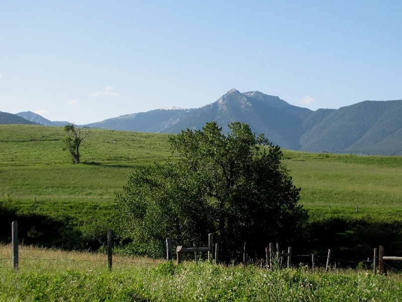 [Spring views[2].jpg]