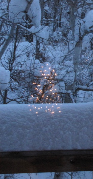 [Christmas Tree REflection[2].jpg]