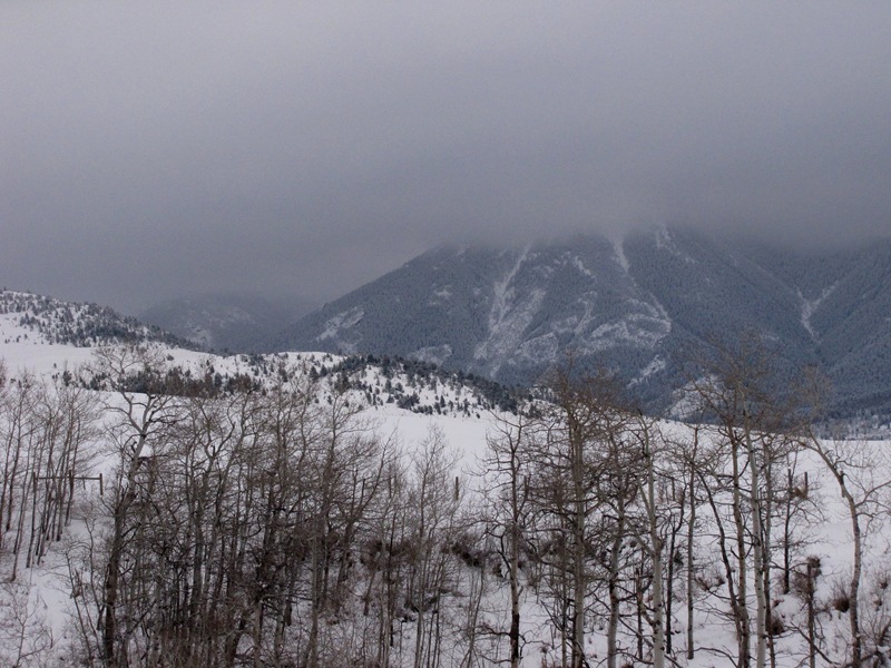 [Boone Mtn[2].jpg]