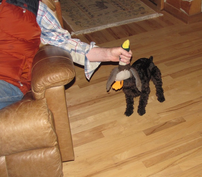 [Give me that duck[2].jpg]
