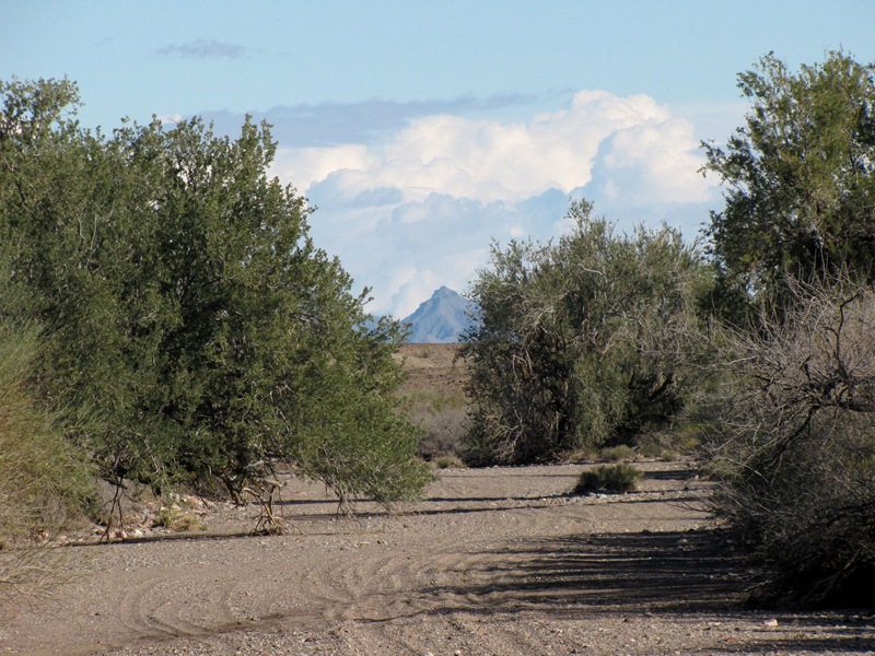 [AZ scenery[3].jpg]