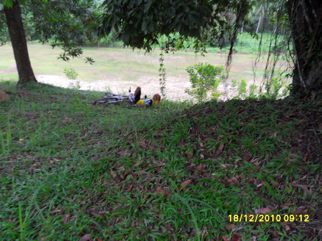 รูปภาพ