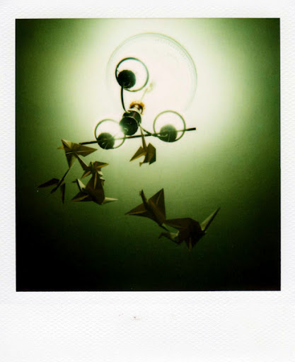 Summer 2008