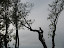 islands 052