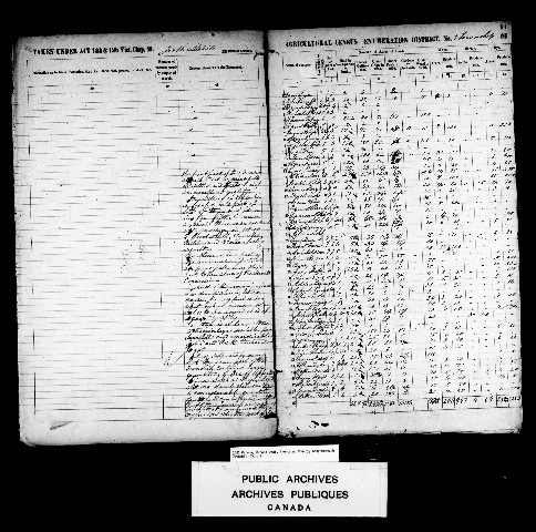 [Medcof Dowker Trousdale lines 43 44 45 1852 Agricultural census[5].jpg]