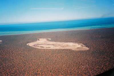 Birrida, Francois Peron National Park, Western Australia.