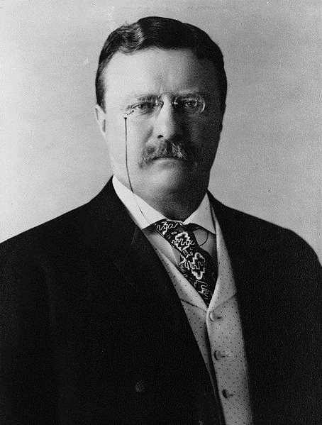 [454px-President_Theodore_Roosevelt_1.jpg]