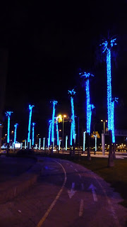 Weihnachspalmen in Las Palmas / Gran Canaria.
