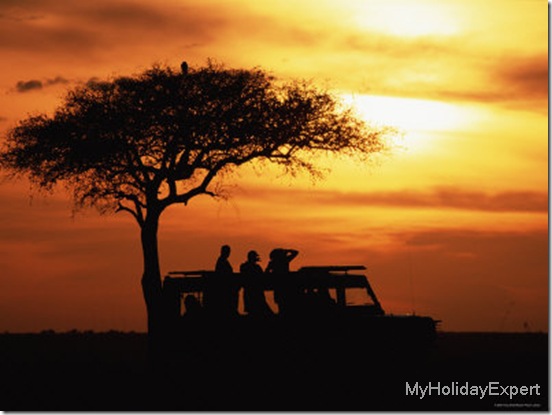 sunset-acacia-tree-masai-mara-kenya-all2634326