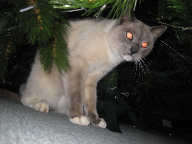 [IMG_47262.jpg]