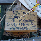 P1000891.jpg