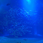 P1010647.jpg