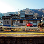 DSC_0805.JPG