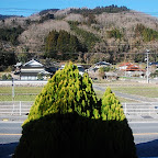 DSC_0827.JPG