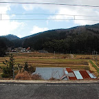 DSC_0856.JPG