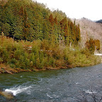 DSC_0879.JPG