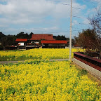 DSC_0953.JPG