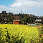 DSC_0952.JPG