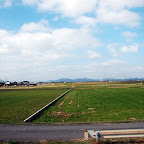 DSC_0955.JPG