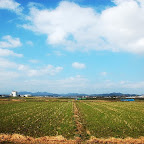 DSC_0958.JPG