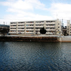 DSC_1000.JPG