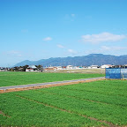 DSC_1038.JPG