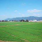 DSC_1039.JPG
