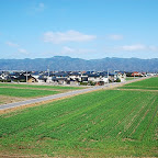 DSC_1041.JPG