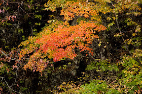 DSC_5275.jpg